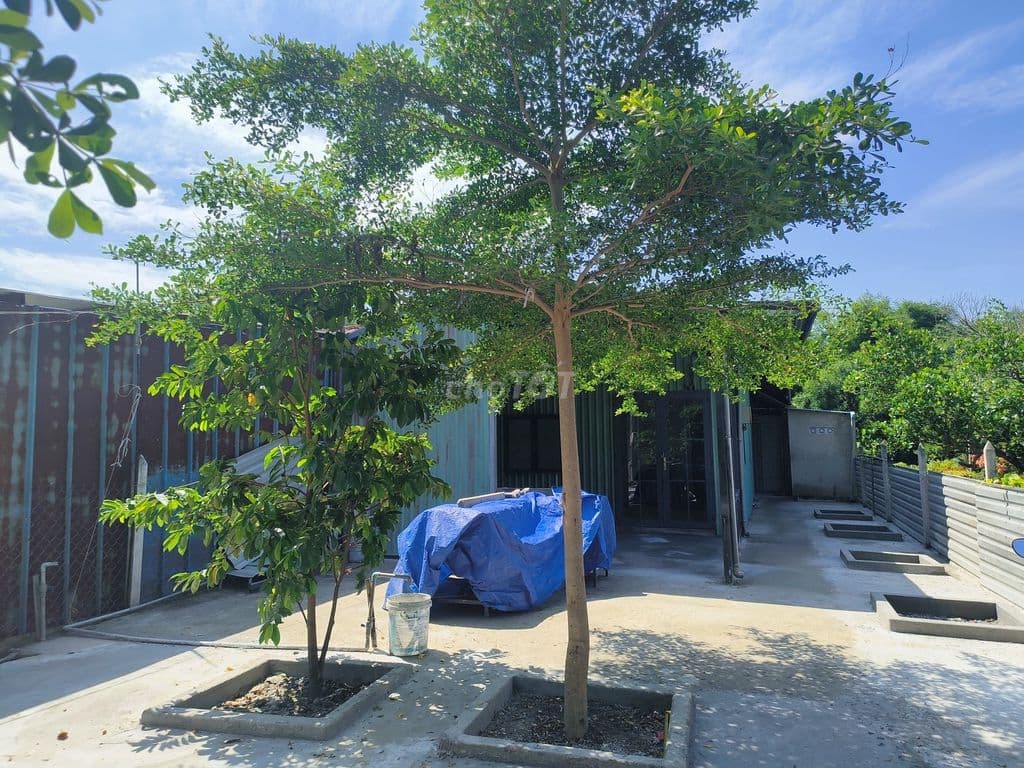 Bán đất Củ Chi (xã Phước Vĩnh An cũ) thổ cư hết đất, tặng nhà - Ảnh 2