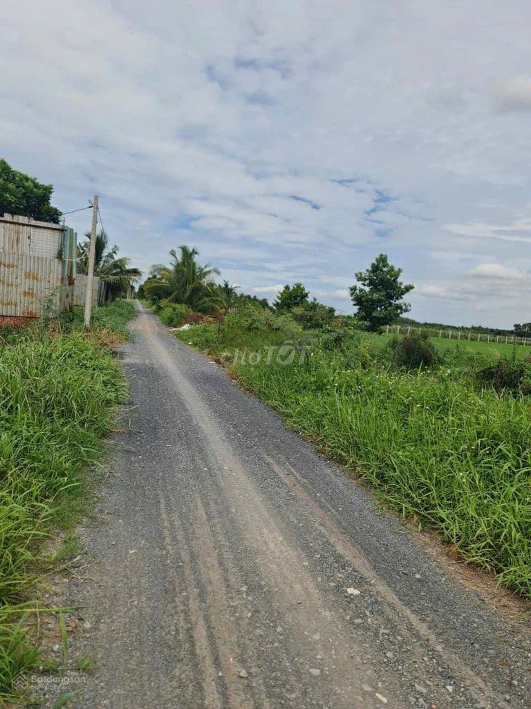 Bán đất vườn Lê Minh Xuân, Bình Chánh 1000m2