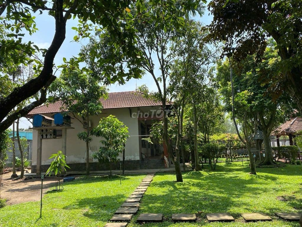 Biệt thự vườn DT 2.750m2 (45x60) gần Bệnh viện Xuyên Á, Tân Thông Hội