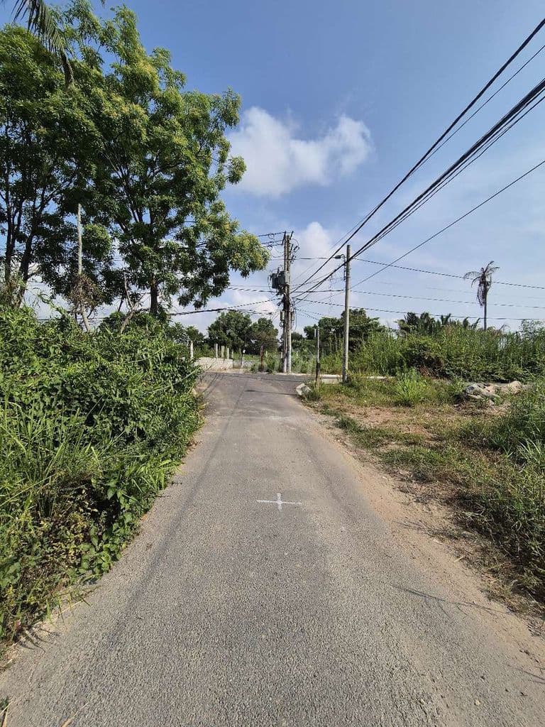 Đất lớn giá đầu tư - Ảnh 3