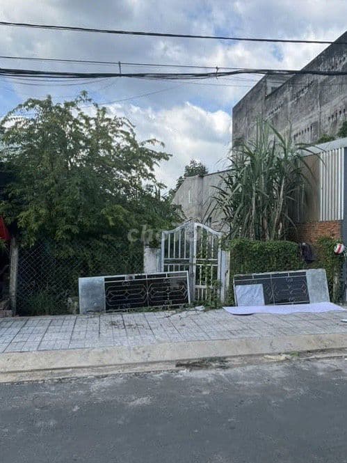 Bán đất thổ cư, sổ hồng riêng tại Tam Thôn Hiệp, Cần Giờ