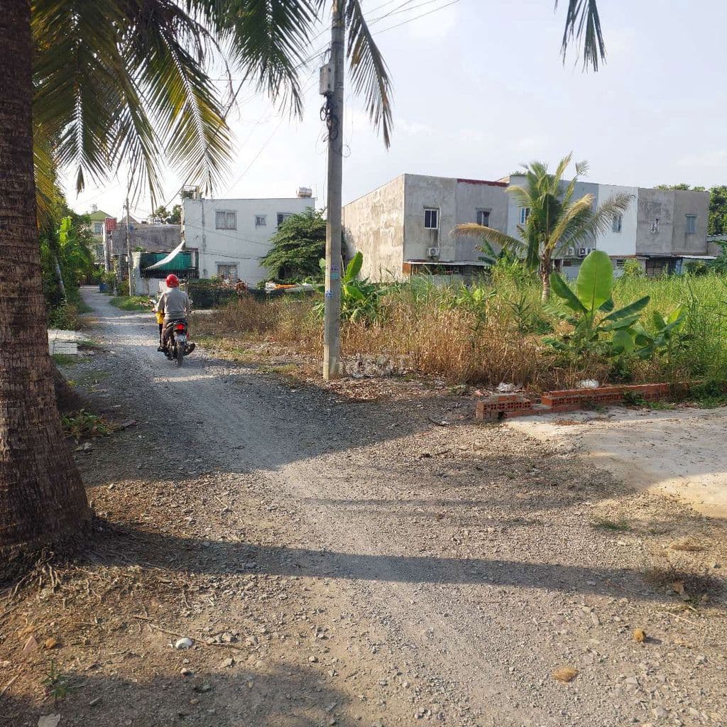 Đất bán 1040m2 Đường 177,5m thông gần tr th Bình mỹ 2 ,Xã Bình mỹ hcm - Ảnh 2
