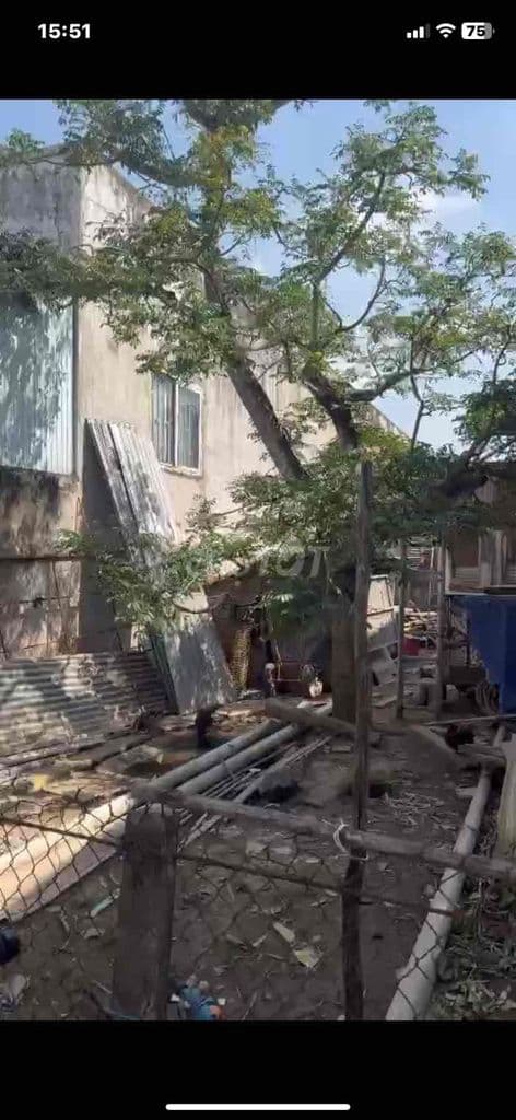 CẦN TIỀN BÁN GẤP - Ảnh 2