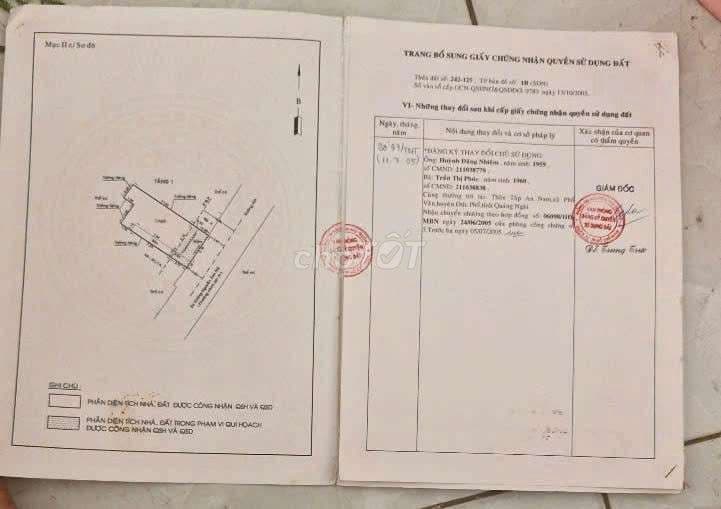 BÁN 2 CĂN NHÀ CẤP 4 MẶT TIỀN ĐƯỜNG TRUNG MỸ TÂY 1 - Ảnh 2