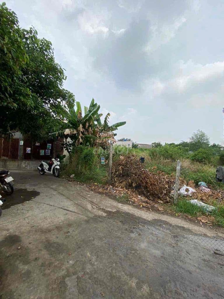 Hóc Môn cần bán hơn 1200m2 full thổ cư , gần Vinhomes