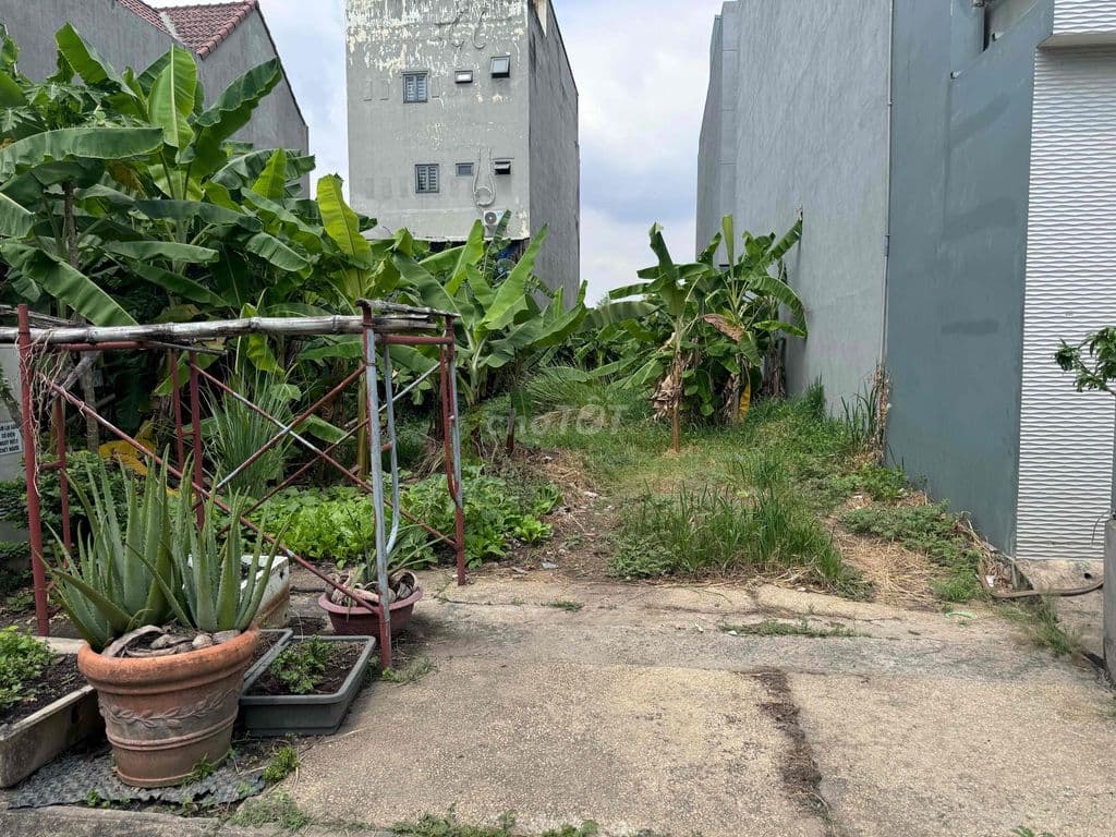 Bán đất chính chủ