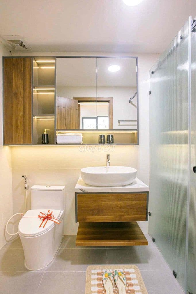Căn Hộ mặt tiền QL 13 nhận nhà mới 100% - Ảnh 3