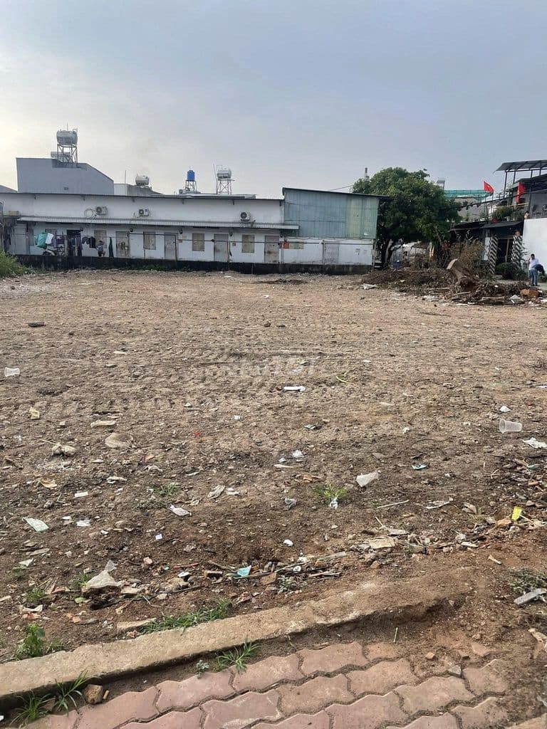 Bán đất khu phân lô đặng thúc vịnh gần chợ gấu&nhà thờ tân đông 5x22m - Ảnh 3