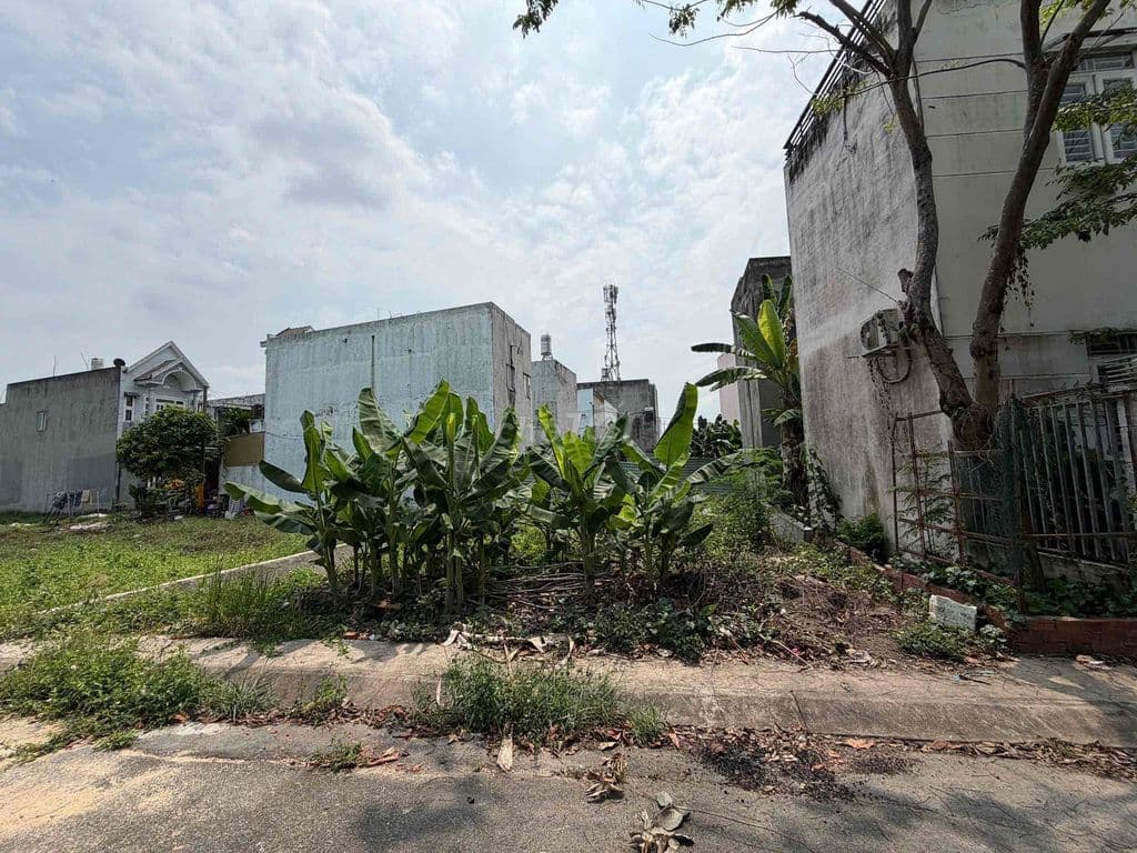 Bán đất Bà Điểm 4-Hóc Môn.DT:163,6m2,đường nhựa rộng 7m - Ảnh 2