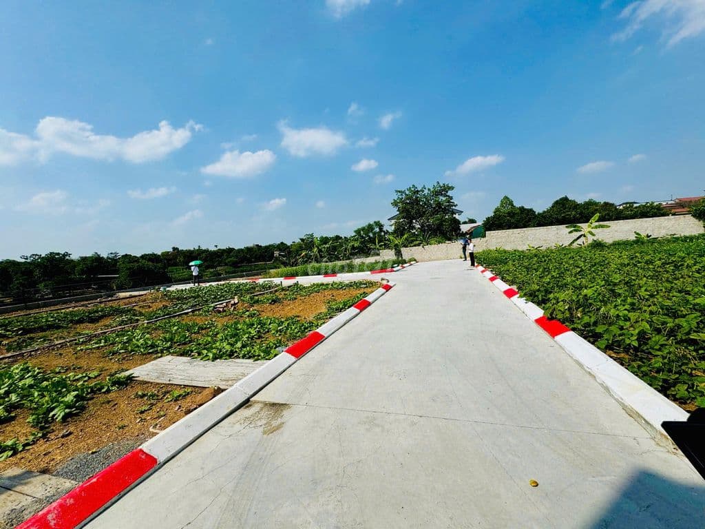 Cắt lỗ 200 triệu , gần ngã tư xuân mai , đường rộng 5m, full thổ cư - Ảnh 2