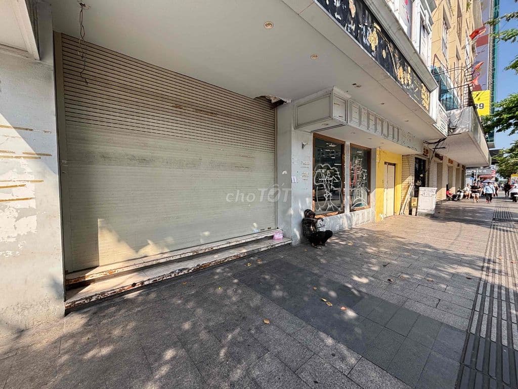 Chuyển nhượng đất VIP góc 2MT Nguyễn Huệ - Ảnh 2