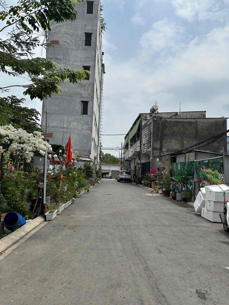 SIÊU HIẾM - ĐẤT 1/ LÒ LU 80M2 HXH GIÁ SIÊU HỜI BAO ĐẦU TƯ - Ảnh 3