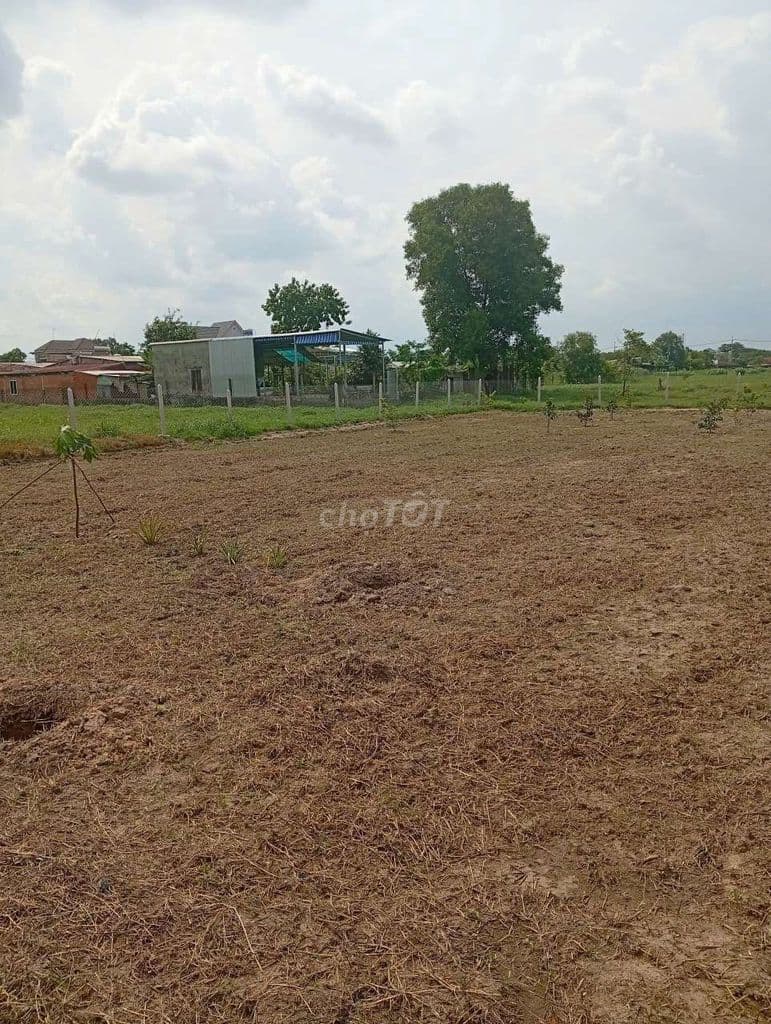 Bán đất làm nhà Vườn tại hẻm 158 Bến Than, Bình Mỹ, Củ Chi. - Ảnh 2