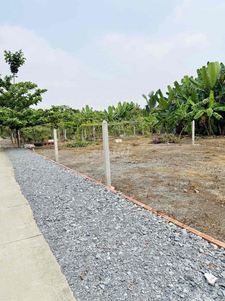 Chủ kẹt tiền cần bán 2lô đất thổ cư 160m2 xã Bình Mỹ-Củ Chi, SHR