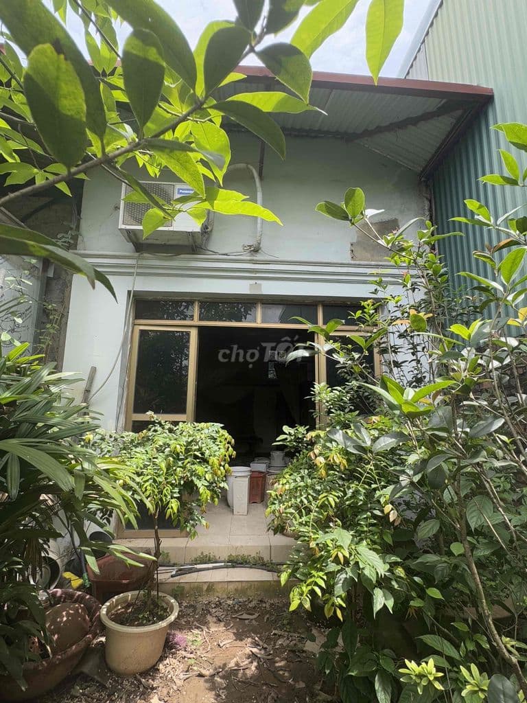 CHÍNH CHỦ- ĐẤT 140m2 MẶT ĐƯỜNG BIÊN GIANG - Ảnh 2