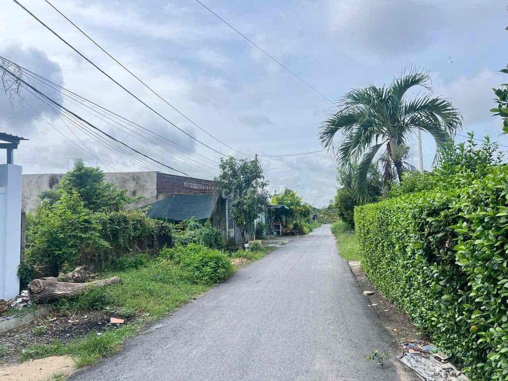 BÁN GẤP DÃY TRỌ KIOT 8 PHÒNG NGỦ 246M2 (7X35M) 1TY2 CÒN THƯƠNG LƯỢNG - Ảnh 3