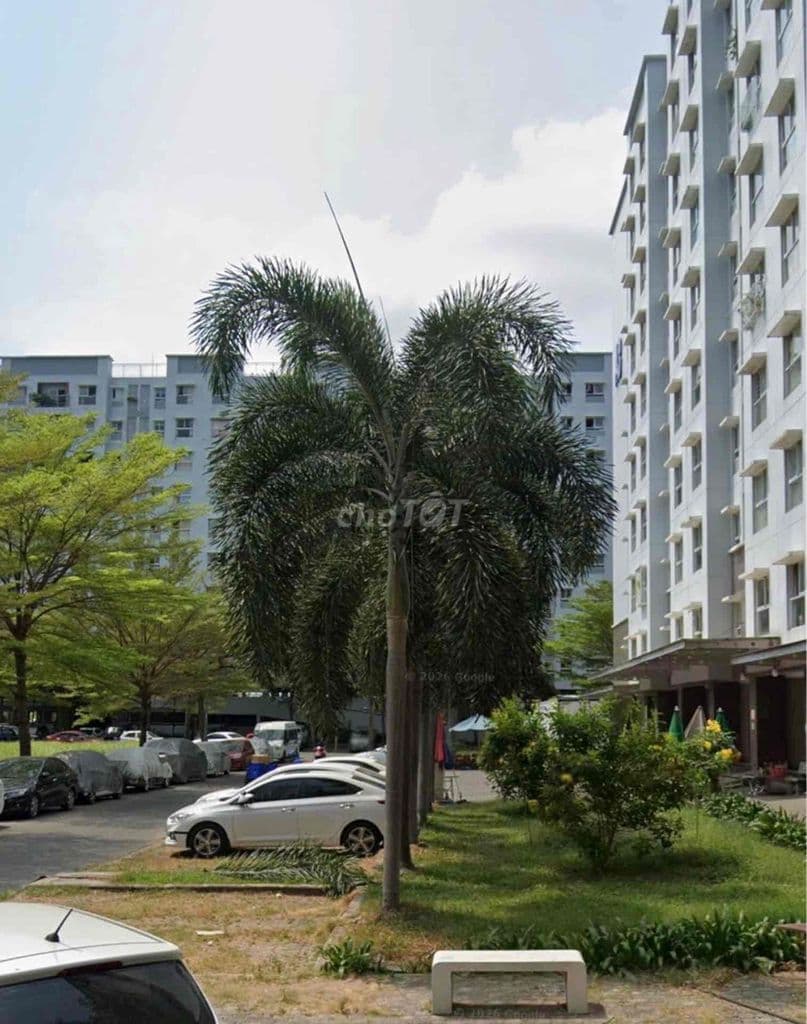 CHÍNH CHỦ BÁN GẤP SHOPHOUSE EHOME3 HỒ HỌC LÃM, 45m2, 3,6 Tỷ - Ảnh 3