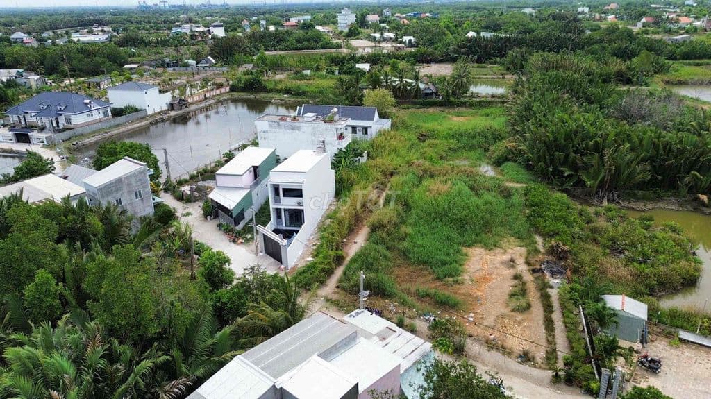 BÁN ĐẤT THỔ CƯ BÌNH KHÁNH CẦN GIỜ - Ảnh 3