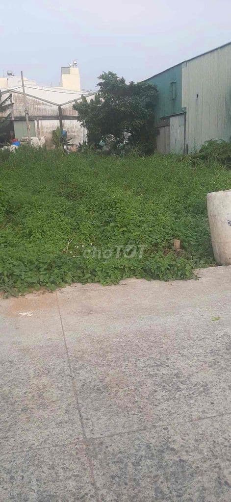 đất thổ 91m2 đường xe tải gần cụm y tế Tân Kiên - Ảnh 3