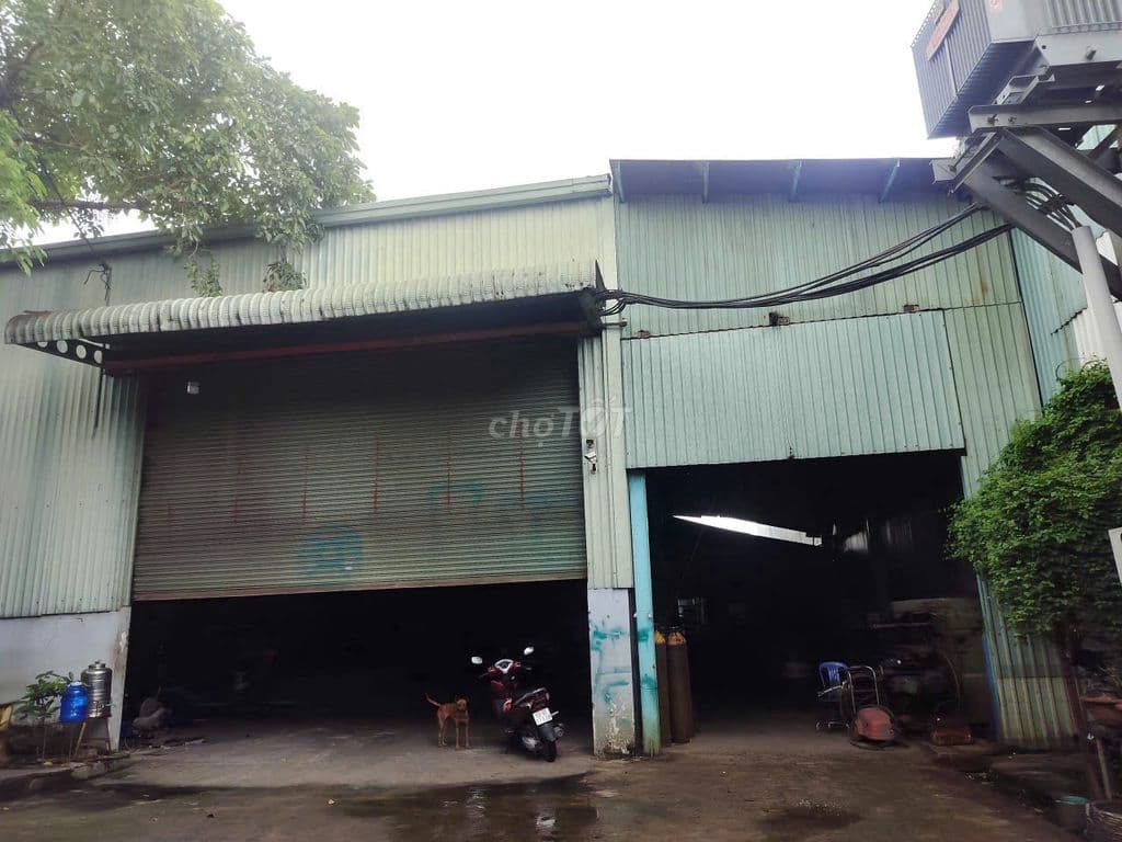 Bán nhà Xưởng mặt tiền Liên Ấp 123, DT 40mx41m vuông vức, full thổ cư - Ảnh 3