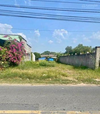 Bán gấp đất ngay Cầu Vượt Củ Chi,175m2 thổ cư, MT đường nhựa chỉ 990tr - Ảnh 3