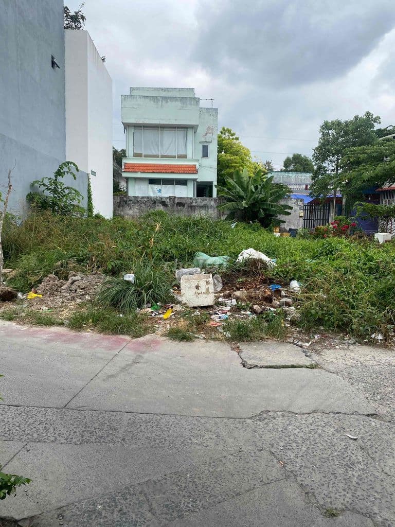 đất chợ Bình Chánh - Ảnh 2