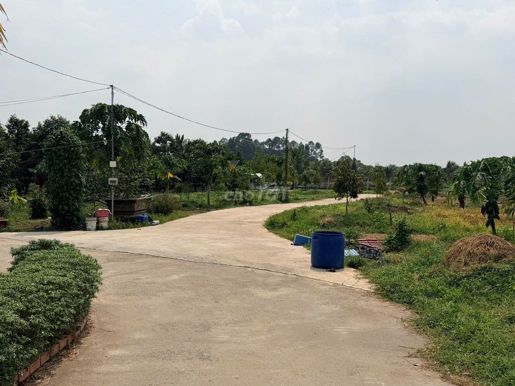 SANG NHƯỢNG KHU NHÀ VƯỜN NGHỈ DƯỠNG – DIỆN TÍCH LỚN – GIÁ TỐT - Ảnh 2