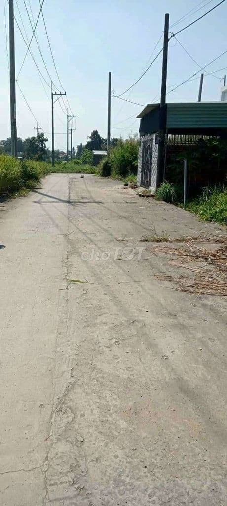Bán đất đẹp bình mỹ đường bê tông 6m - Ảnh 2