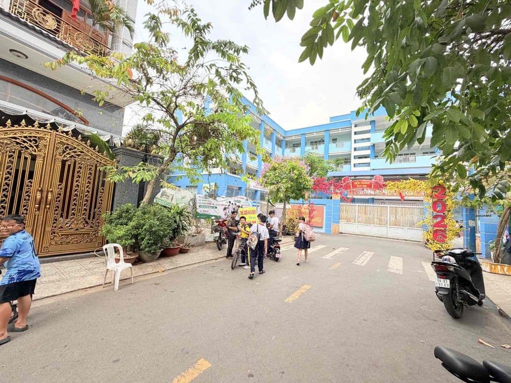 Bán Lô đất đường Ni Sư Huỳnh Liên Tân Bình, 240m2 ngang 10m - Ảnh 3