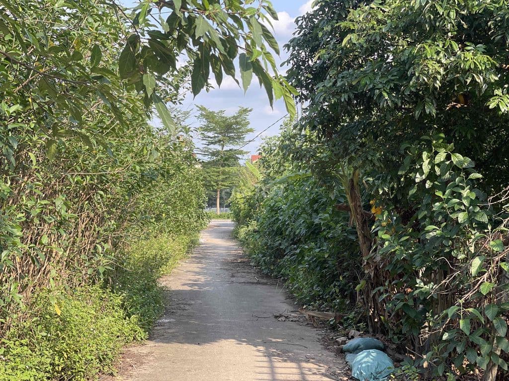 Bán đất Yên Mỹ , 500 m2, oto tải vào đất - Ảnh 3
