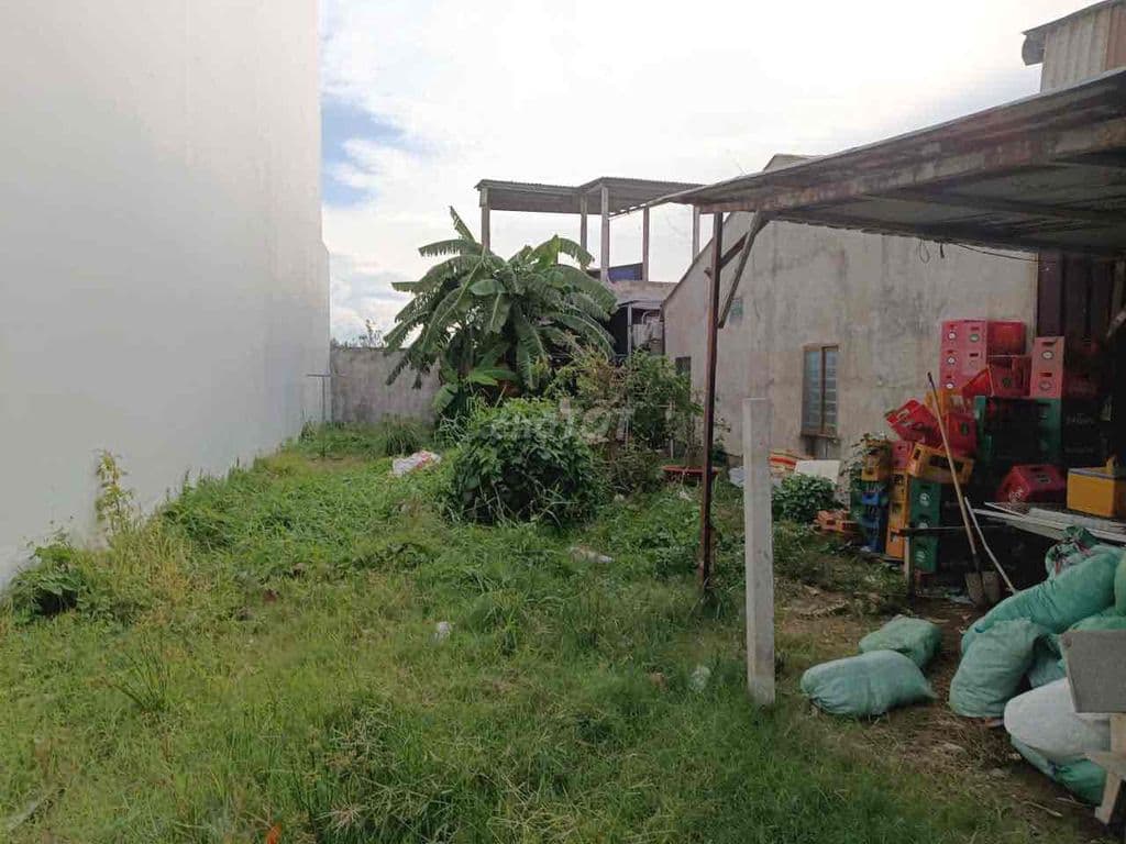 bán đất mặt tiền Bùi thanh khiết thị trấn tân túc Bình Chánh - Ảnh 3