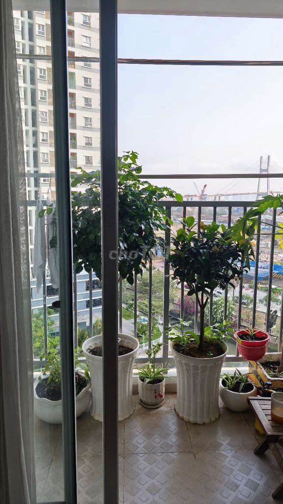 CẦN BÁN - Ảnh 3