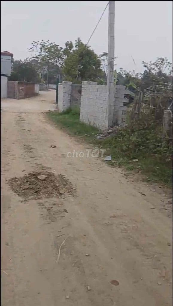 Bán nhanh lô 1034m2 Phúc Tiến- Bình Yên - Ảnh 2