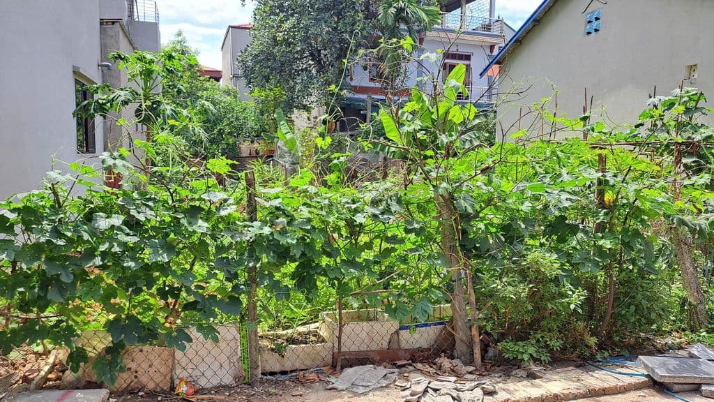 Nhỉnh 4 tỷ 50m đường thông, trung tâm Kim Nỗ, gần cầuThăng Long