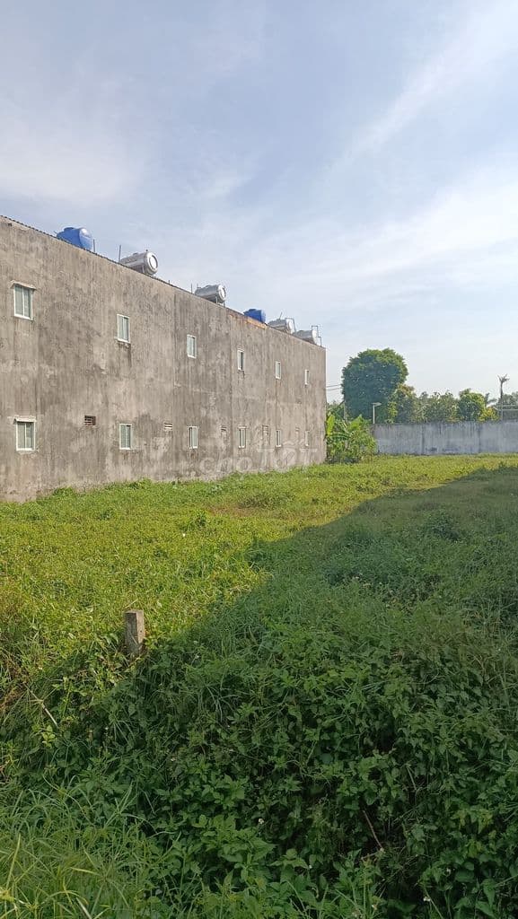 Đất sạch cách đại lộ Xuyên Á 400m bên cạnh THPT Tân Thông Hội