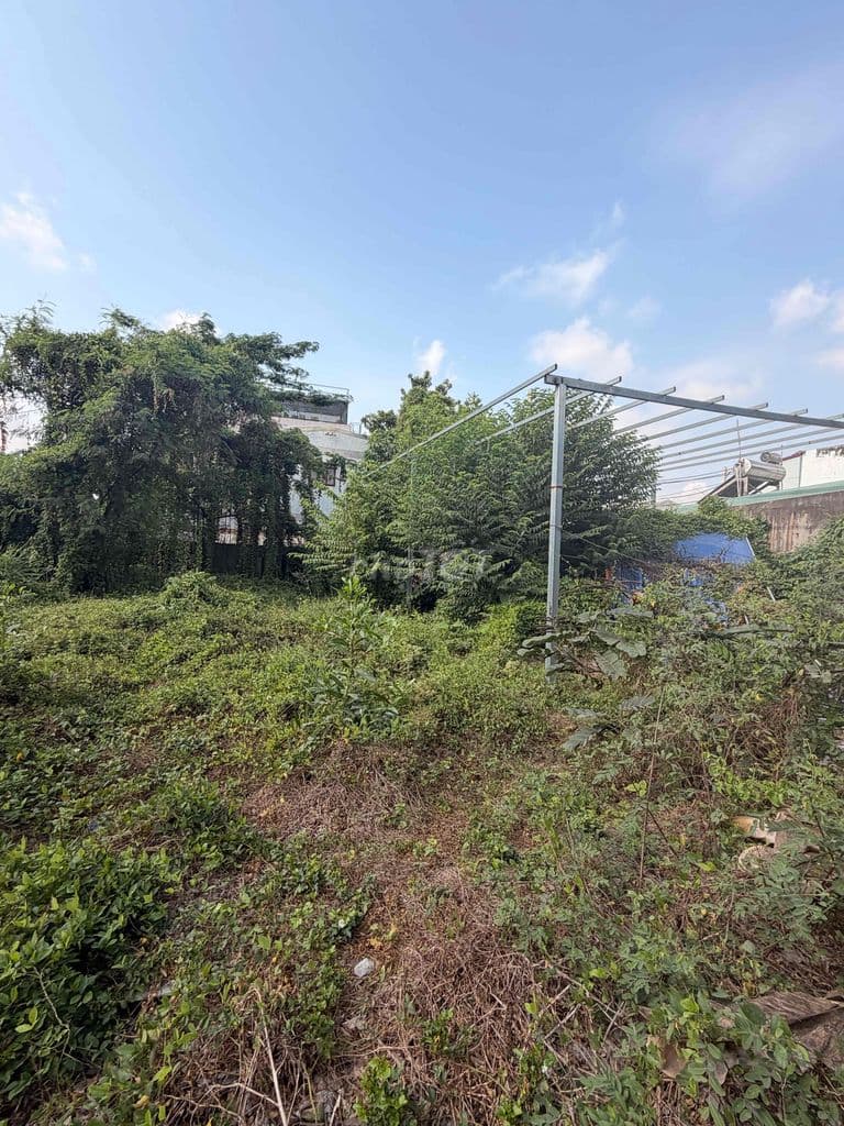 Bán Đất Ngay Đường 28 Tam Bình Hiệp Bình Thủ Đức - Ảnh 3