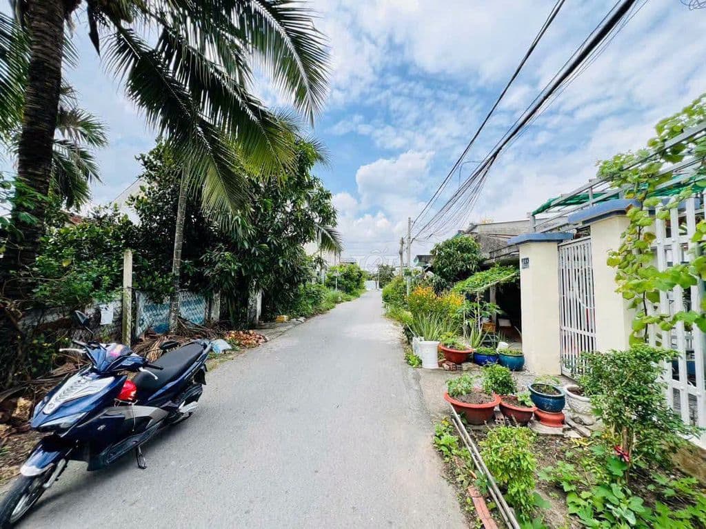 Chủ ngộp bán đất 133m2 TC ngay X.Tân Thông Hội Củ Chi Giá 815 triệu - Ảnh 2