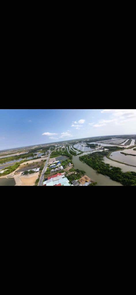 Đất Nông Nghiệp/ 5ha, đường Lý Nhơn - Ảnh 3