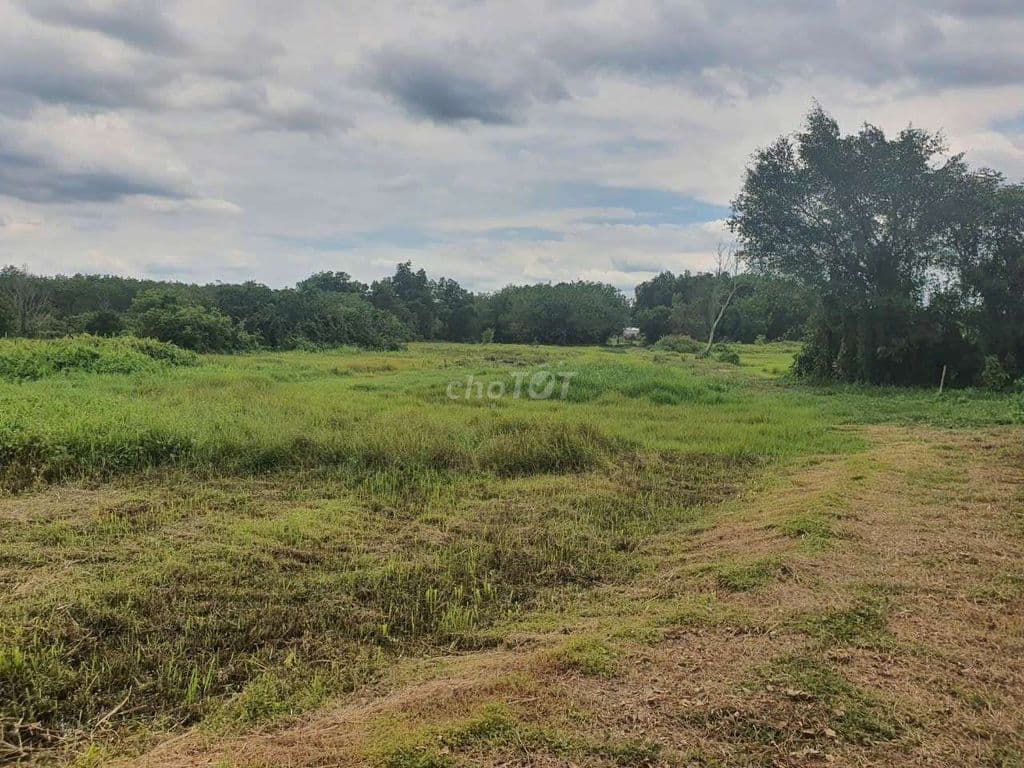 Bán đất An Nhơn Tây - Củ Chi - Ảnh 2