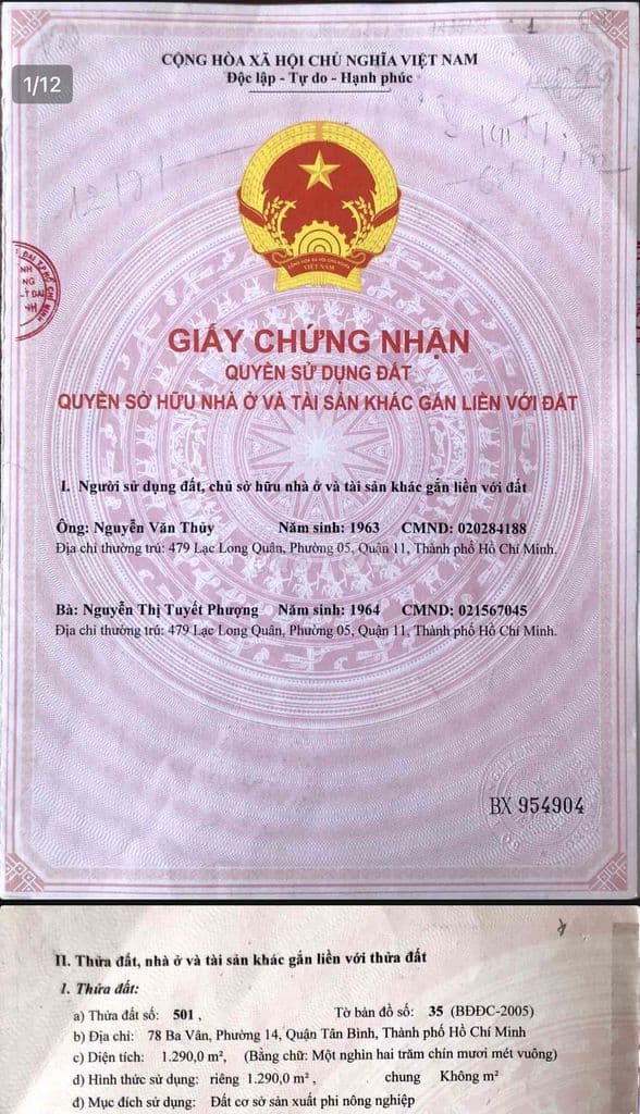 Đất 3 mặt tiền đường Ba Vân - Diện tích lớn trên 2000m - Ảnh 3