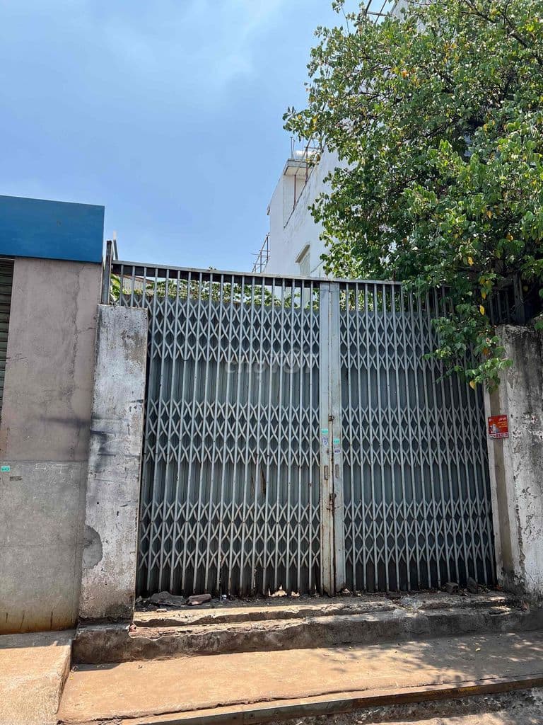 ĐẤT 4x 19 - HẺM 8M THÔNG - CÁCH HL2 20m - Ảnh 2