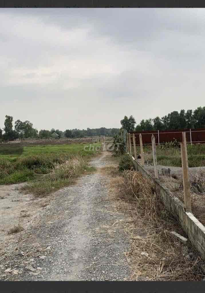 GIÁ RẺ - 1140m² ĐẤT TÂN THẠNH TÂY CỦ CHI – SỔ RIÊNG – GIÁ CHỈ 2,4 TỶ - Ảnh 3