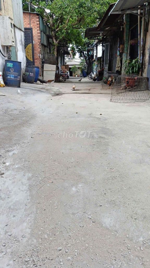 cần bán nhà 4x15 sổ hồng riêng - Ảnh 2