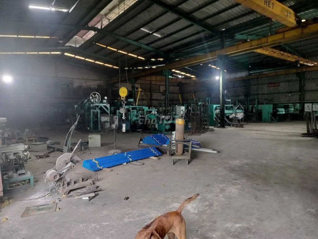 Bán nhà Xưởng mặt tiền Liên Ấp 123, DT 40mx41m vuông vức, full thổ cư - Ảnh 2