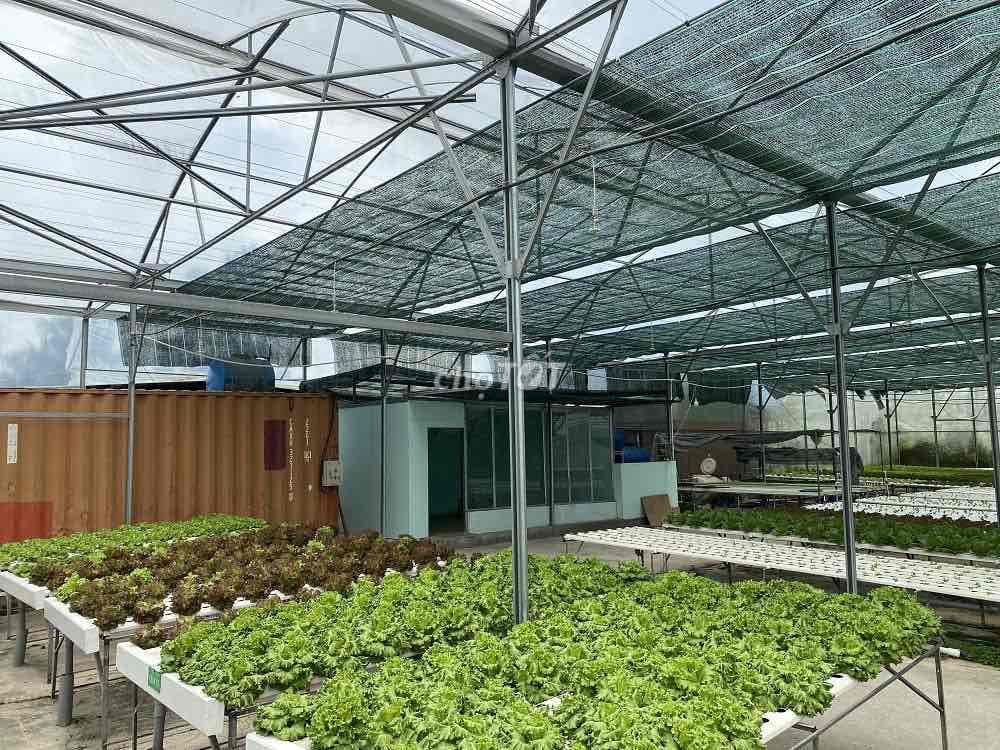 Bán đất Bình Chánh - Ảnh 2