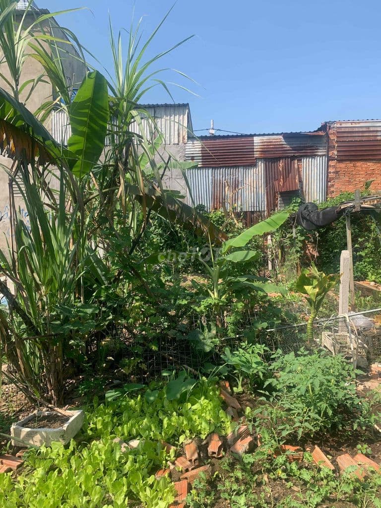 chính chủ bán đất vĩnh lộc A - Ảnh 3