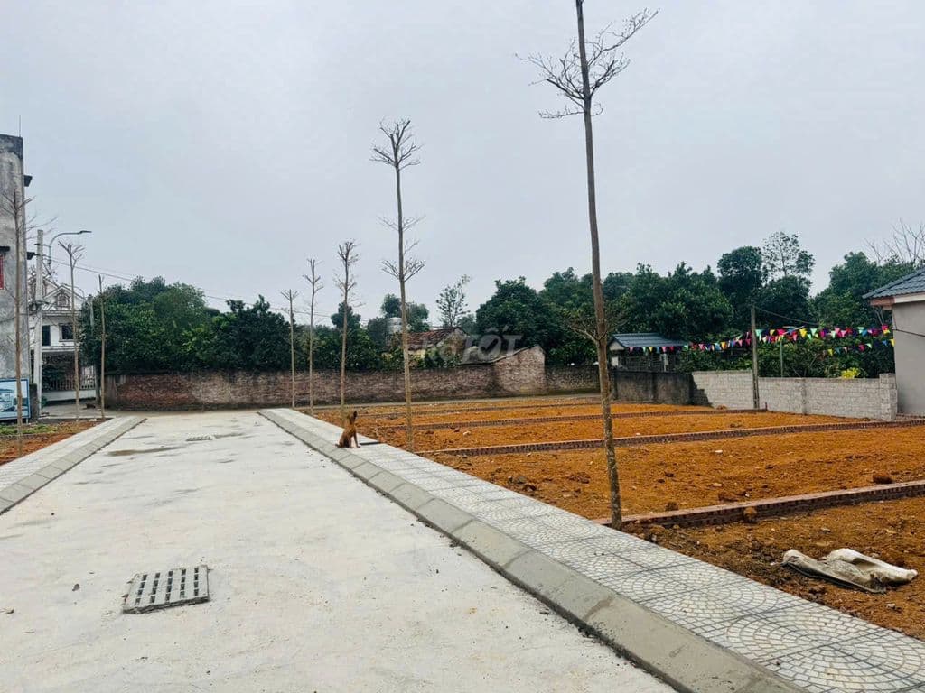 BÁN LÔ GÓC PHÚ CÁTTÂM ĐIỂM HẠ TẦNG ĐÓN SÓNG METRO 5 HÒA LẠC - Ảnh 2