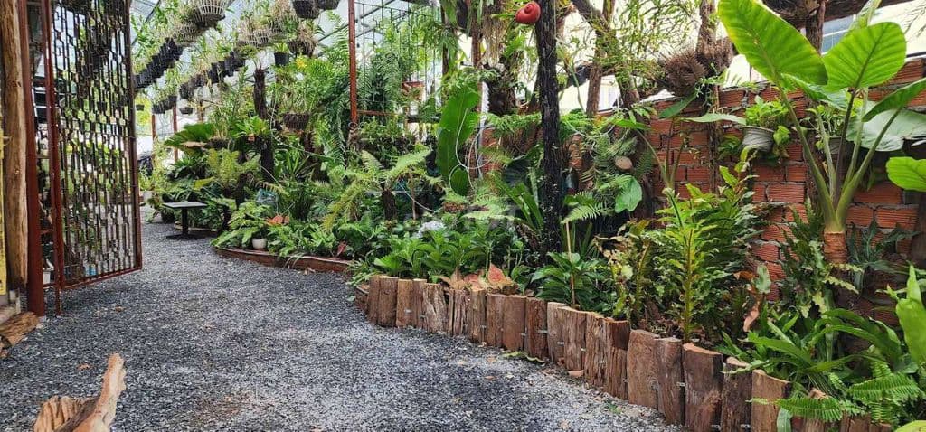 Sang quán cà phê - Ảnh 3