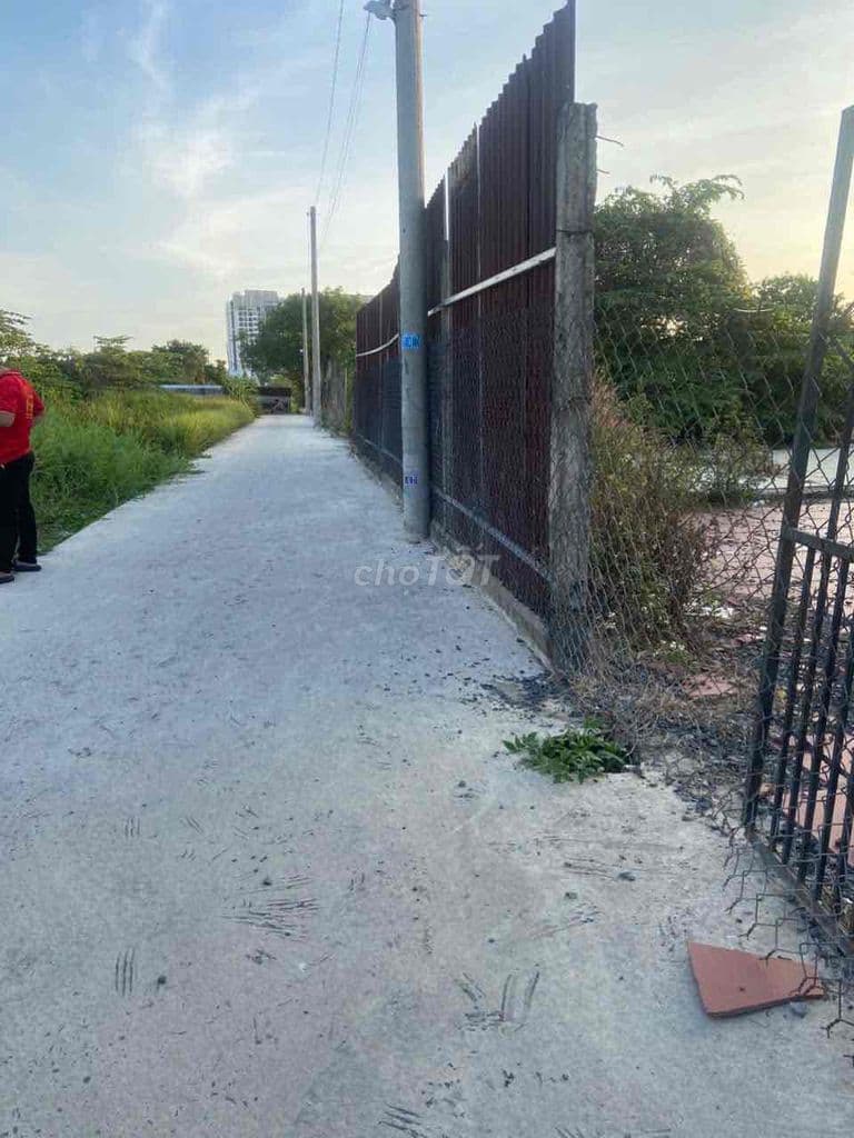 Đât 5x15m kdc đông đúc - Ảnh 2
