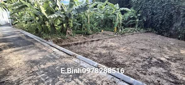 bán đất Vân Nội Đông Anh không dính quy hoạch - Ảnh 2